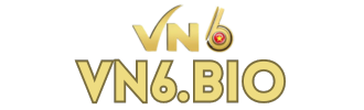 vn6.bio