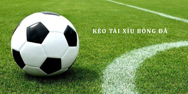 Kèo Tài Xỉu - Bật Mí Tips Cược O/U Thành Công Nhất 2024