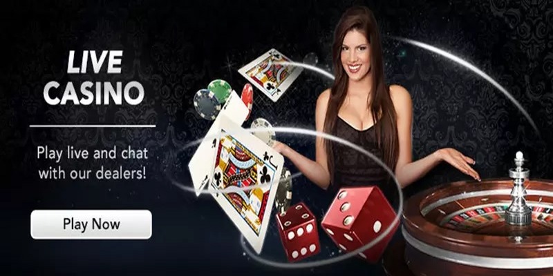 Giới thiệu về KU casino